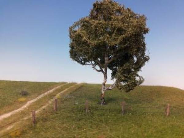 Moorbirke Profiline Sommer H0